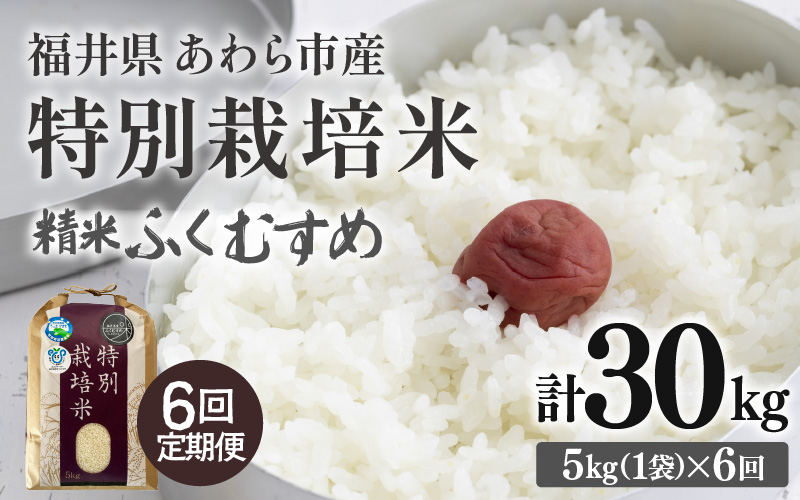 【先行予約】【令和8年産】定期便 ≪6ヶ月連続お届け≫ 化学肥料不使用 ふくむすめ 精米 5kg × 6回（合計30kg）※2026年10月上旬より順次発送予定 [aw010-f014]