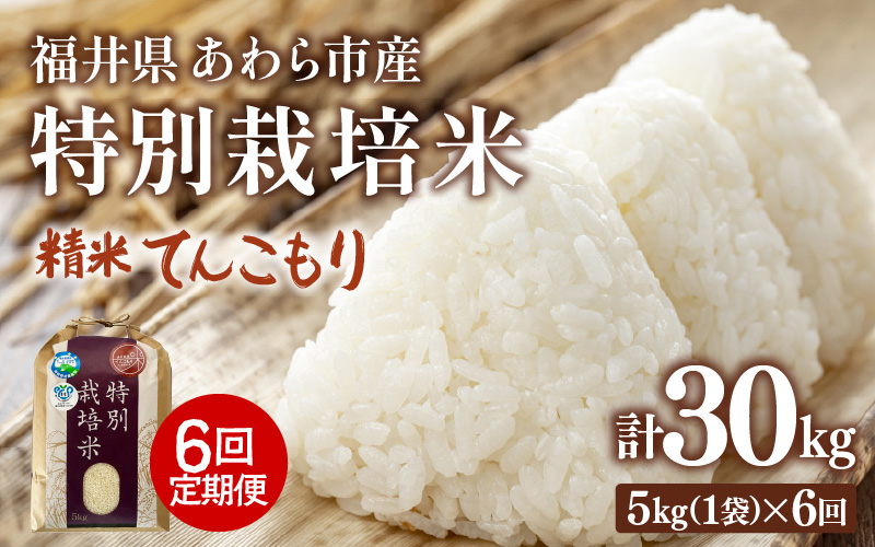 【先行予約】【令和8年産】定期便 ≪6ヶ月連続お届け≫ 化学肥料不使用 てんこもり 精米 5kg × 6回（合計30kg）※2026年10月上旬より順次発送予定 [aw010-f015]