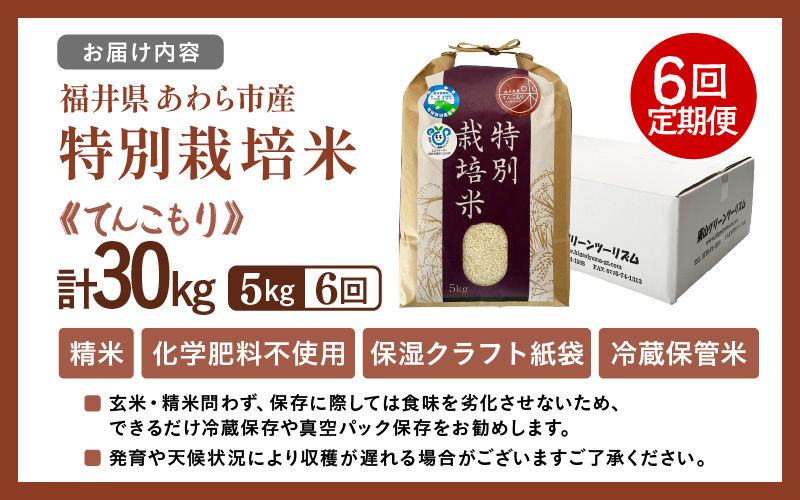 【先行予約】【令和8年産】定期便 ≪6ヶ月連続お届け≫ 化学肥料不使用 てんこもり 精米 5kg × 6回（合計30kg）※2026年10月上旬より順次発送予定 [aw010-f015]