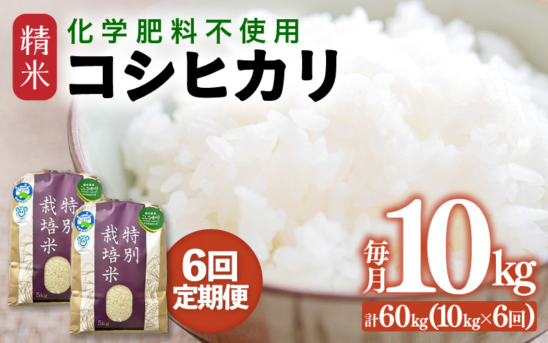 【先行予約】【令和8年産】【定期便6回】≪6ヶ月連続お届け≫ 化学肥料不使用 特別栽培米 コシヒカリ 精米 10kg × 6回（合計60kg）※2026年10月上旬より順次発送予定 [aw010-k004]