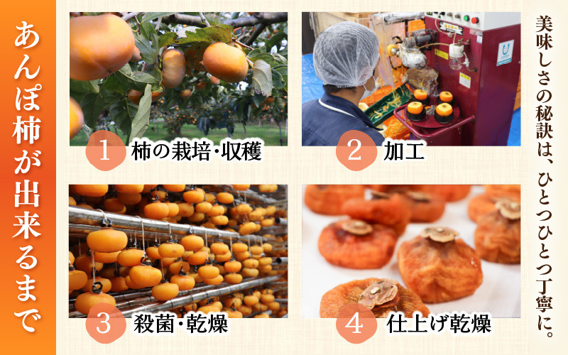 【先行予約】あんぽ柿「越の甘柿」12個 木箱入り《美味しさにこだわった自信作！》／あわら産 高級 干し柿 つるし柿 和菓子 お茶うけ お菓子 スイーツ お取り寄せ 大賞 受賞 ※2026年12月上旬以降順次発送 [aw012-a024]