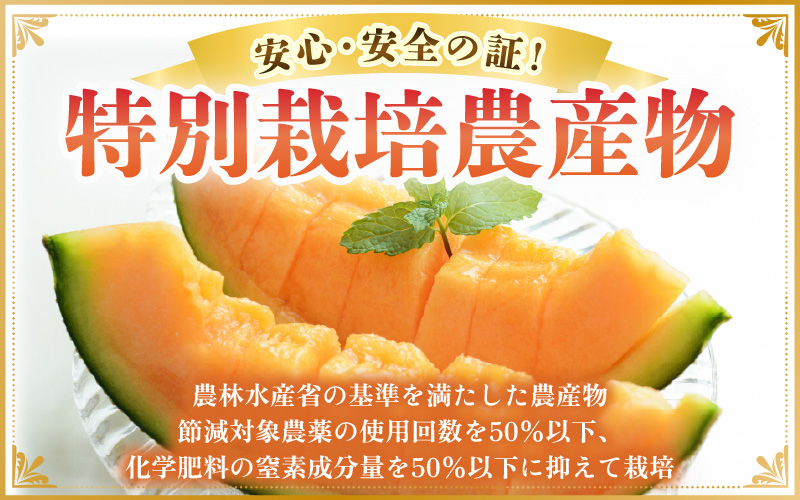 【先行予約】マルセイユメロン 3～5玉入「ユメマル」5kg 《とろけるような食感の絶品 赤肉メロン》／ 果物 フルーツ 産地直送 大賞 受賞 ※2027年6月中旬より順次発送 [aw012-a025]