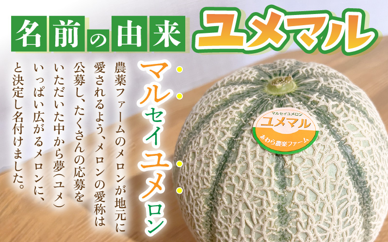 【先行予約】マルセイユメロン 3～5玉入「ユメマル」5kg 《とろけるような食感の絶品 赤肉メロン》／ 果物 フルーツ 産地直送 大賞 受賞 ※2027年6月中旬より順次発送 [aw012-a025]