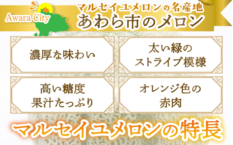【先行予約】マルセイユメロン 3～5玉入「ユメマル」5kg 《とろけるような食感の絶品 赤肉メロン》／ 果物 フルーツ 産地直送 大賞 受賞 ※2027年6月中旬より順次発送 [aw012-a025]