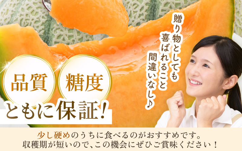 【先行予約】マルセイユメロン 3～5玉入「ユメマル」5kg 《とろけるような食感の絶品 赤肉メロン》／ 果物 フルーツ 産地直送 大賞 受賞 ※2027年6月中旬より順次発送 [aw012-a025]