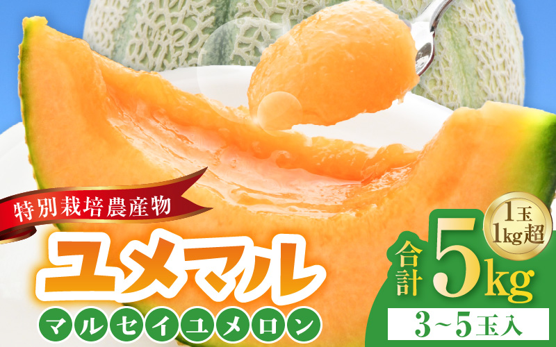 【先行予約】マルセイユメロン 3～5玉入「ユメマル」5kg 《とろけるような食感の絶品 赤肉メロン》／ 果物 フルーツ 産地直送 大賞 受賞 ※2027年6月中旬より順次発送 [aw012-a025]