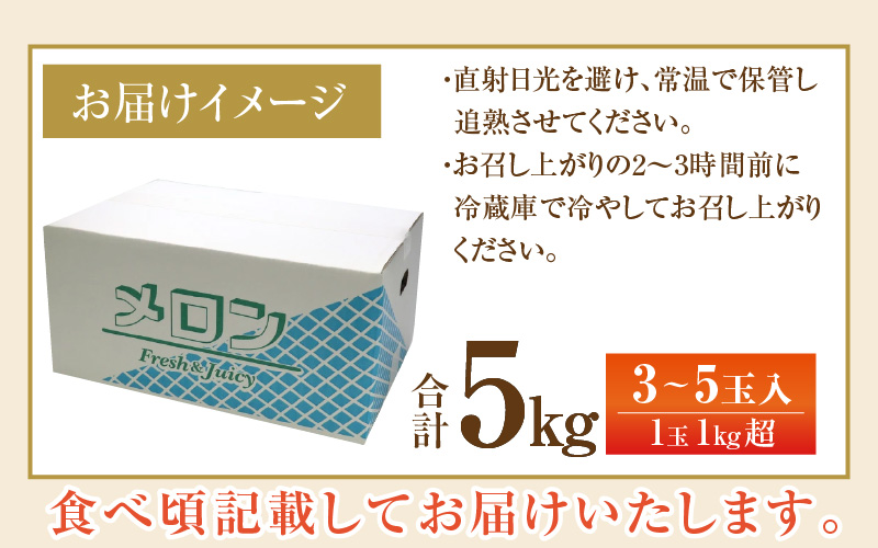 【先行予約】マルセイユメロン 3～5玉入「ユメマル」5kg 《とろけるような食感の絶品 赤肉メロン》／ 果物 フルーツ 産地直送 大賞 受賞 ※2027年6月中旬より順次発送 [aw012-a025]