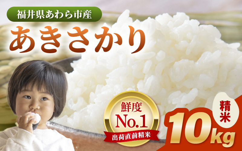 【令和7年産】あきさかり　精米 10kg × 1袋（計10kg） ／ 福井県産 ブランド米 ご飯 白米 お米 コメ 新鮮 [aw012-a043]
