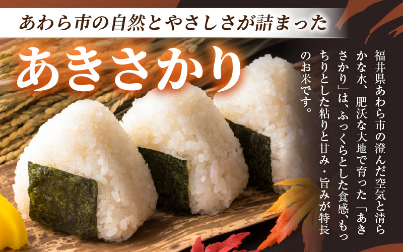【令和7年産】あきさかり　精米 10kg × 1袋（計10kg） ／ 福井県産 ブランド米 ご飯 白米 お米 コメ 新鮮 [aw012-a043]