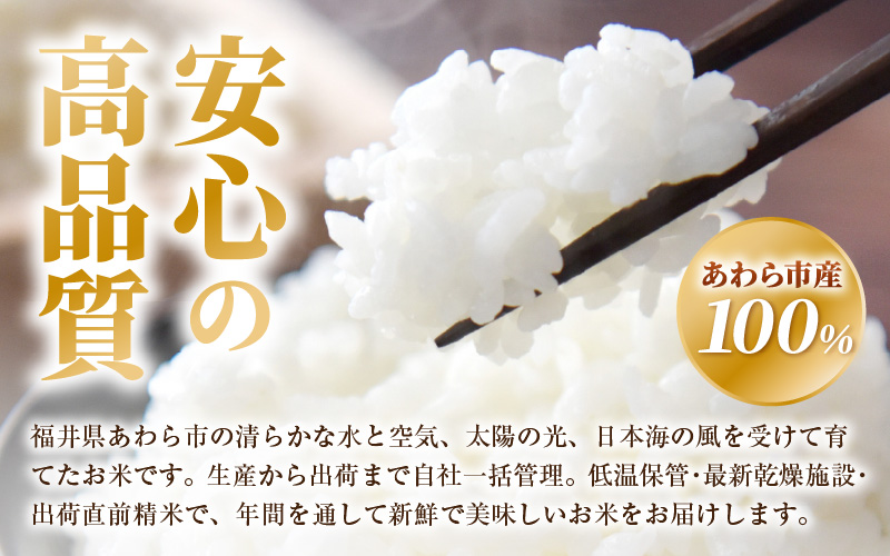 【令和7年産】あきさかり　精米 10kg × 1袋（計10kg） ／ 福井県産 ブランド米 ご飯 白米 お米 コメ 新鮮 [aw012-a043]