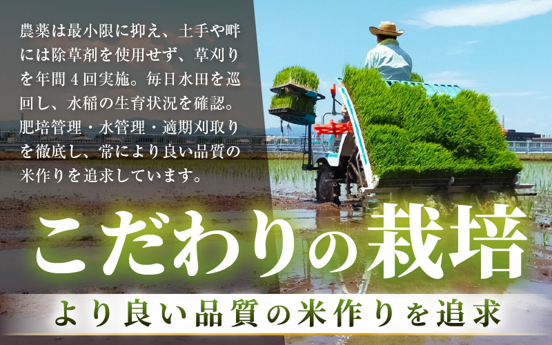 【令和7年産】あきさかり　精米 10kg × 1袋（計10kg） ／ 福井県産 ブランド米 ご飯 白米 お米 コメ 新鮮 [aw012-a043]