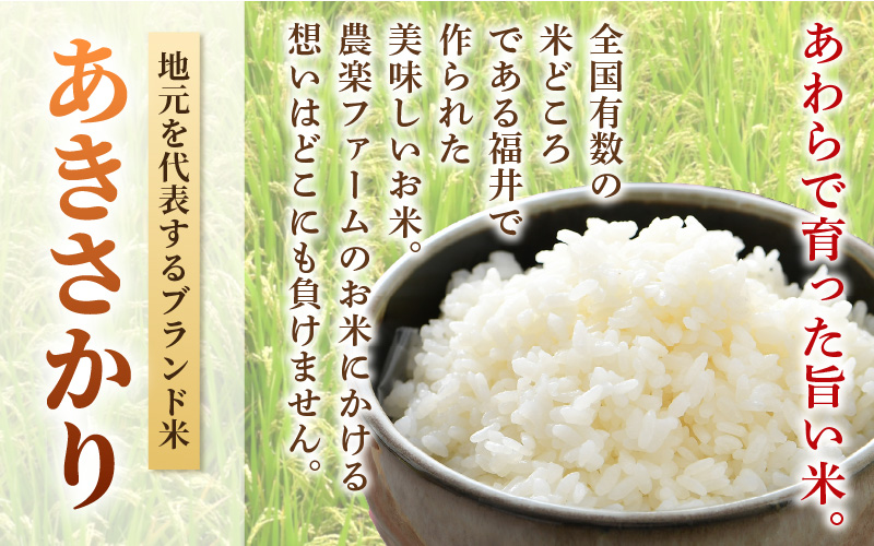 【令和7年産】あきさかり　精米 10kg × 1袋（計10kg） ／ 福井県産 ブランド米 ご飯 白米 お米 コメ 新鮮 [aw012-a043]