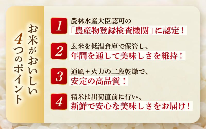 【令和7年産】あきさかり　精米 10kg × 1袋（計10kg） ／ 福井県産 ブランド米 ご飯 白米 お米 コメ 新鮮 [aw012-a043]