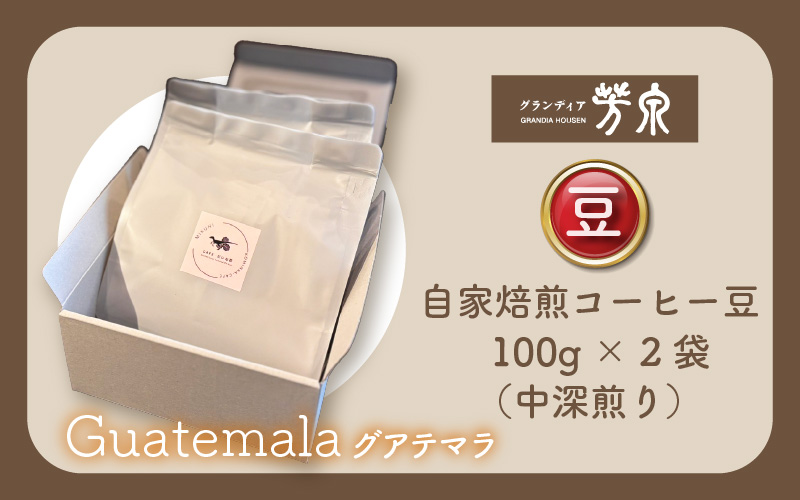 【豆タイプ】Caféだいな荘　自家焙煎コーヒーグアテマラ グランディア芳泉若旦那こだわりの珈琲 [aw014-a007_01]