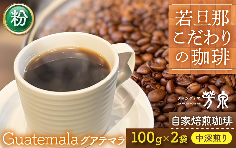 【粉タイプ】Caféだいな荘　自家焙煎コーヒーグアテマラ グランディア芳泉若旦那こだわりの珈琲 [aw014-a007_02]