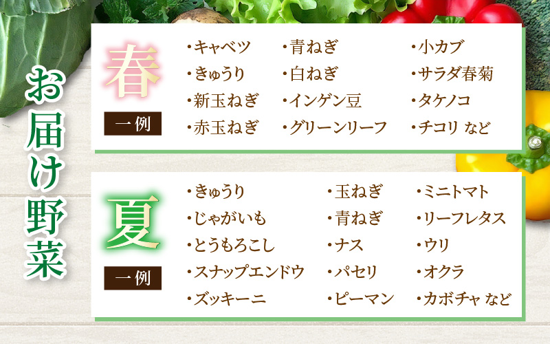 【3ヶ月連続お届け】農家直送 旬の野菜セット 7品目以上 1箱 ／ 定期便 3回 季節 野菜 ボックス BOX セット セレクト 農家 おまかせ 多品目 旬 詰め合わせ 根菜 葉物 [aw028-a001]