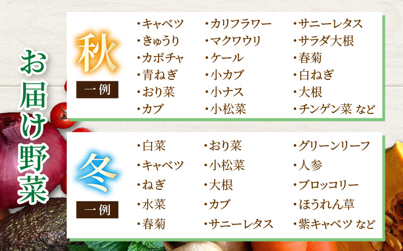 【3ヶ月連続お届け】農家直送 旬の野菜セット 7品目以上 1箱 ／ 定期便 3回 季節 野菜 ボックス BOX セット セレクト 農家 おまかせ 多品目 旬 詰め合わせ 根菜 葉物 [aw028-a001]