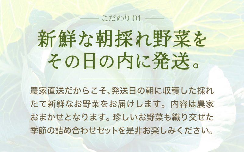 【3ヶ月連続お届け】農家直送 旬の野菜セット 7品目以上 1箱 ／ 定期便 3回 季節 野菜 ボックス BOX セット セレクト 農家 おまかせ 多品目 旬 詰め合わせ 根菜 葉物 [aw028-a001]
