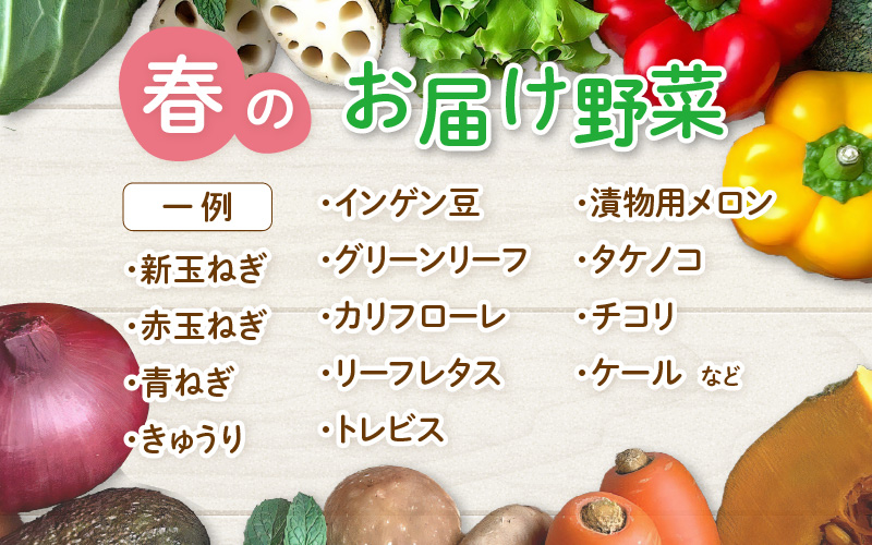 【先行予約】農家直送 春野菜セット 1箱 7品目以上 《元気に育った新鮮野菜！》 ※2027年4月下旬以降順次発送予定 [aw028-a008]