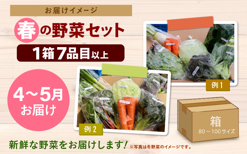 【先行予約】農家直送 春野菜セット 1箱 7品目以上 《元気に育った新鮮野菜！》 ※2027年4月下旬以降順次発送予定 [aw028-a008]