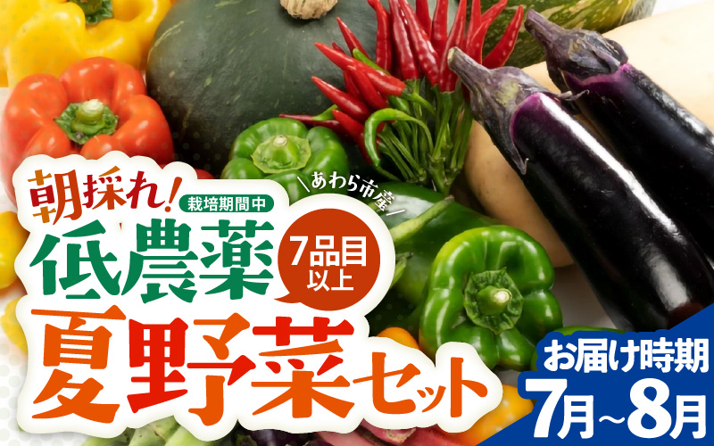 【先行予約】農家直送 夏野菜セット 1箱 7品目以上 《元気に育った新鮮野菜！》※2026年7月中旬以降発送 [aw028-a009]