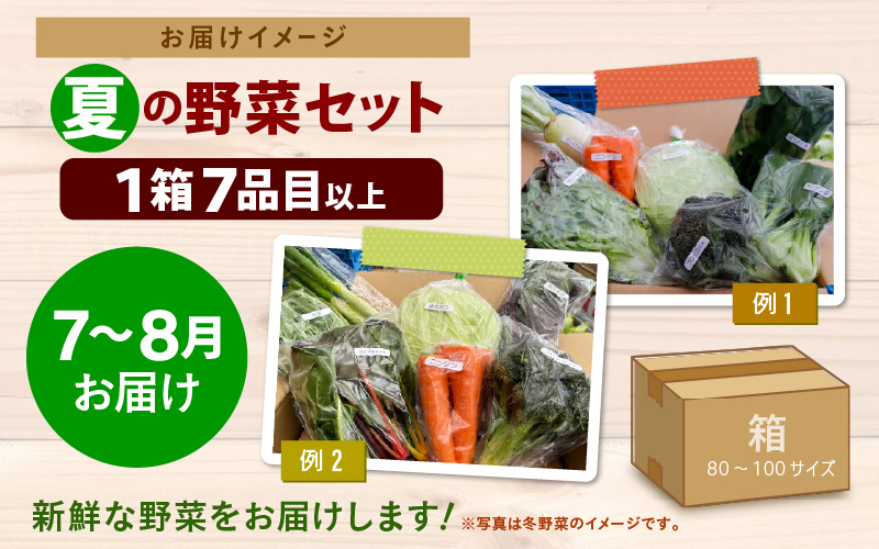 【先行予約】農家直送 夏野菜セット 1箱 7品目以上 《元気に育った新鮮野菜！》※2026年7月中旬以降発送 [aw028-a009]