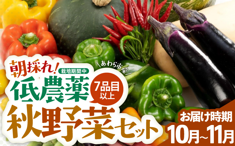 【先行予約】農家直送 秋野菜セット 1箱 7品目以上 《元気に育った新鮮野菜！》※2026年10月下旬以降発送 [aw028-a010]