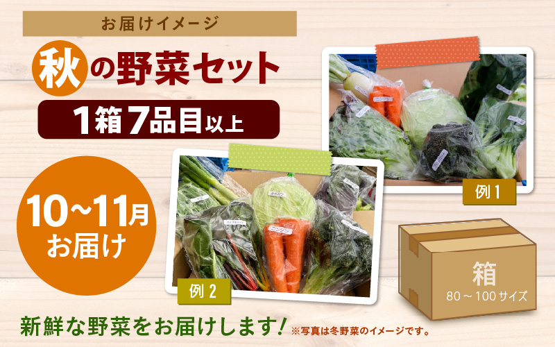 【先行予約】農家直送 秋野菜セット 1箱 7品目以上 《元気に育った新鮮野菜！》※2026年10月下旬以降発送 [aw028-a010]