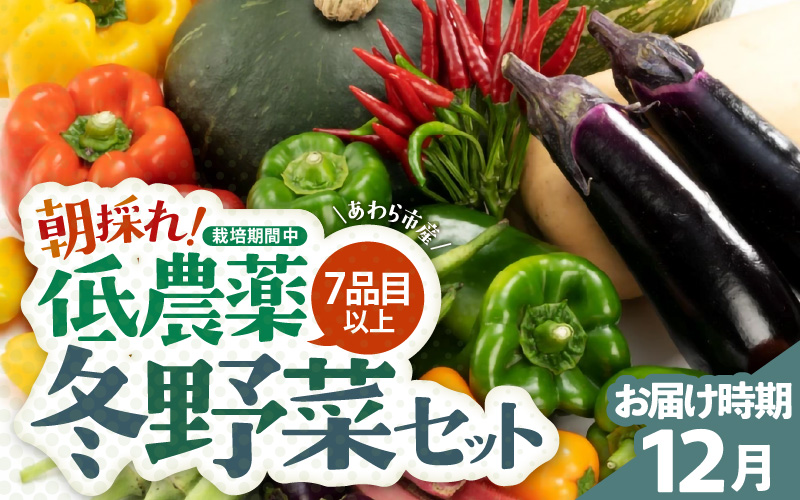 【先行予約】農家直送 冬野菜セット 1箱 7品目以上 《元気に育った新鮮野菜！》※2026年12月上旬以降発送 [aw028-a011]