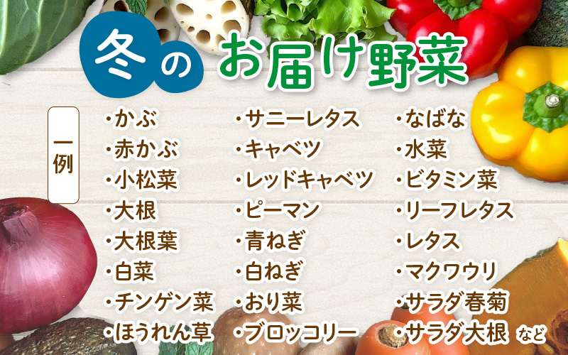 【先行予約】農家直送 冬野菜セット 1箱 7品目以上 《元気に育った新鮮野菜！》※2026年12月上旬以降発送 [aw028-a011]