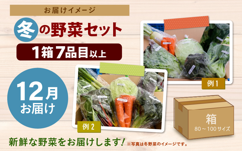 【先行予約】農家直送 冬野菜セット 1箱 7品目以上 《元気に育った新鮮野菜！》※2026年12月上旬以降発送 [aw028-a011]