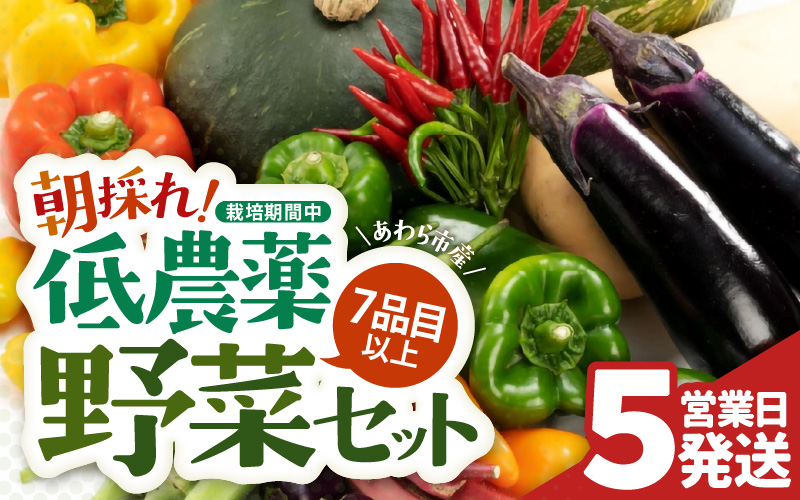 【5営業日発送！】農家直送 旬の野菜セット 7品目以上 1箱 [aw028-a012]