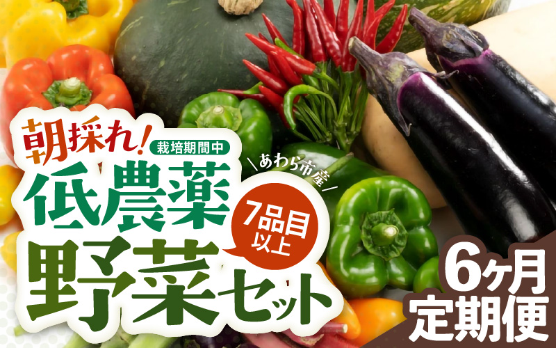 【6ヶ月連続お届け】農家直送 旬の野菜セット 7品目以上 1箱 ／ 定期便 6回 季節 野菜 ボックス BOX セット セレクト 農家 おまかせ 多品目 旬 詰め合わせ 根菜 葉物 [aw028-c002]