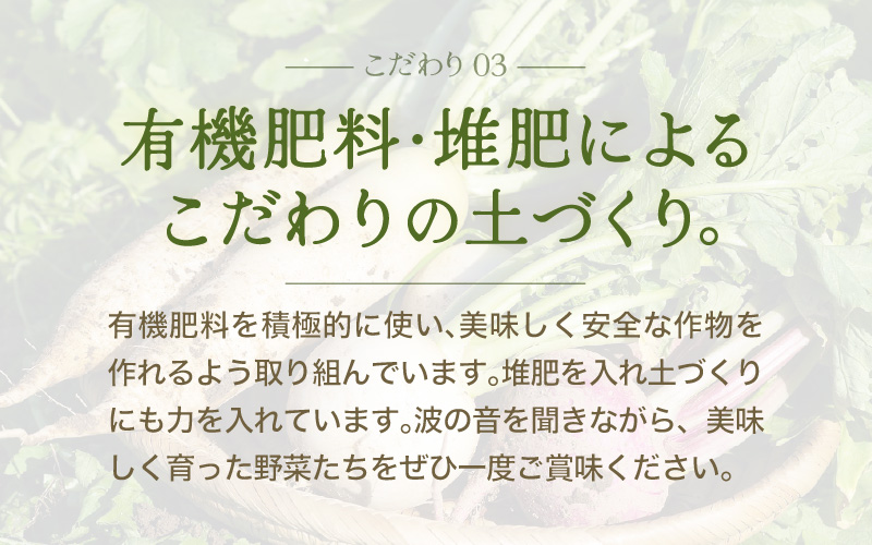 【6ヶ月連続お届け】農家直送 旬の野菜セット 7品目以上 1箱 ／ 定期便 6回 季節 野菜 ボックス BOX セット セレクト 農家 おまかせ 多品目 旬 詰め合わせ 根菜 葉物 [aw028-c002]