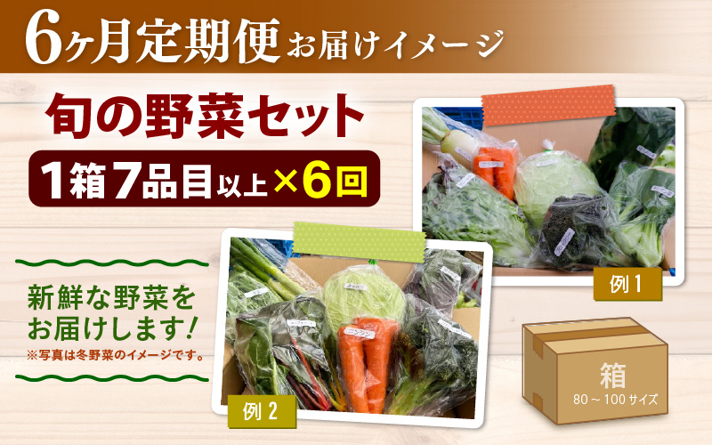 【6ヶ月連続お届け】農家直送 旬の野菜セット 7品目以上 1箱 ／ 定期便 6回 季節 野菜 ボックス BOX セット セレクト 農家 おまかせ 多品目 旬 詰め合わせ 根菜 葉物 [aw028-c002]
