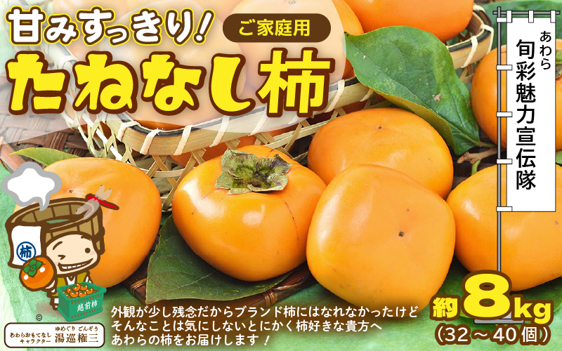 【先行予約】【訳あり】【2026年10月下旬～11月中旬に発送】 甘みすっきり！あわらのたねなし柿 約8kg（32個～40個）（ご家庭用）／ 果物 フルーツ 産地直送 期間限定 ※2026年10月下旬～11月中旬に発送予定 [aw031-a004_10]