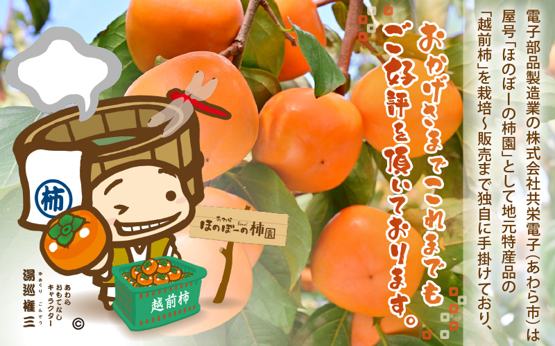 【先行予約】【訳あり】【2026年10月下旬～11月中旬に発送】甘みすっきり！あわらのたねなし柿 約3.5kg（18個入）（ご家庭用） ／ 果物 フルーツ かき 種なし  産地直送 期間限定 ※2026年10月下旬～11月中旬に発送予定 [aw031-a006_10]