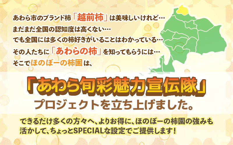 【先行予約】【訳あり】【2026年10月下旬～11月中旬に発送】甘みすっきり！あわらのたねなし柿 約3.5kg（18個入）（ご家庭用） ／ 果物 フルーツ かき 種なし  産地直送 期間限定 ※2026年10月下旬～11月中旬に発送予定 [aw031-a006_10]