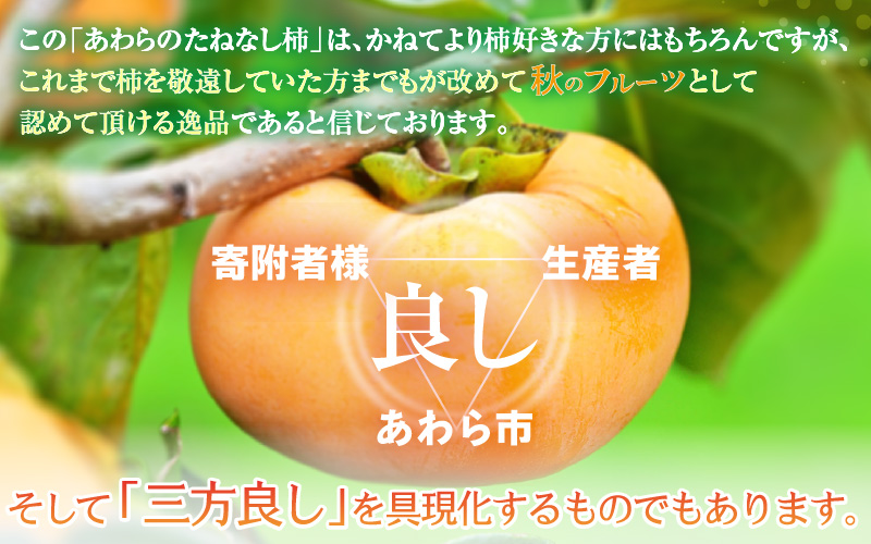 【先行予約】【訳あり】【2026年10月下旬～11月中旬に発送】甘みすっきり！あわらのたねなし柿 約3.5kg（18個入）（ご家庭用） ／ 果物 フルーツ かき 種なし  産地直送 期間限定 ※2026年10月下旬～11月中旬に発送予定 [aw031-a006_10]