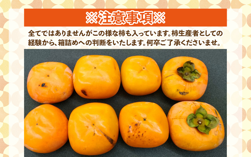 【先行予約】【訳あり】【2026年10月下旬～11月中旬に発送】甘みすっきり！あわらのたねなし柿 約3.5kg（18個入）（ご家庭用） ／ 果物 フルーツ かき 種なし  産地直送 期間限定 ※2026年10月下旬～11月中旬に発送予定 [aw031-a006_10]