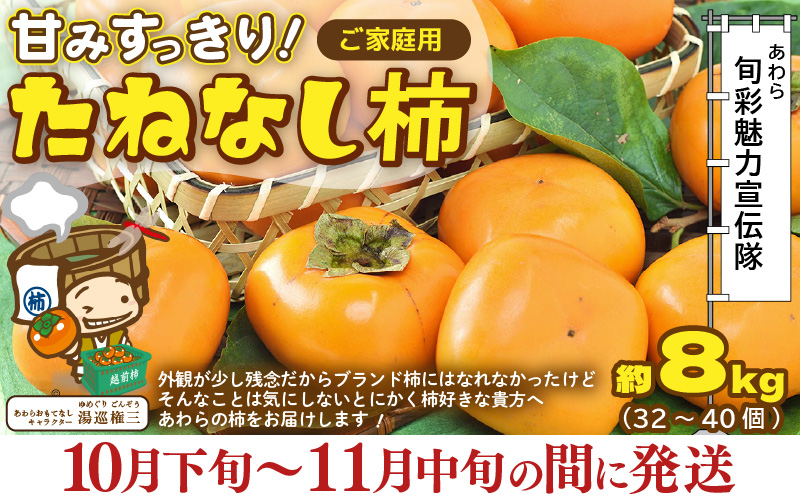【先行予約】【訳あり】【2026年10月下旬～11月中旬に発送】 甘みすっきり！あわらのたねなし柿 約8kg（32個～40個）（ご家庭用）／ 果物 フルーツ 産地直送 期間限定 ※2026年10月下旬～11月中旬に発送予定 [aw031-a004_10]