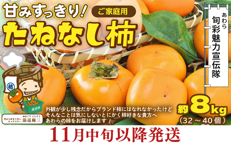 【先行予約】【訳あり】【2026年11月中旬以降発送予定】 甘みすっきり！あわらのたねなし柿 約8kg（32個～40個）（ご家庭用）／ 果物 フルーツ 産地直送 期間限定 ※2026年11月中旬以降発送予定 [aw031-a004_11]