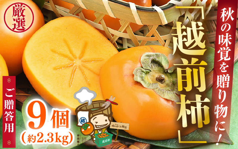 【先行予約】【2026年10月下旬～11月中旬に発送】秋の味覚を贈り物に！厳選「越前柿」大玉 9個（ご贈答用） ／ 果物 フルーツ かき 種なし  産地直送 期間限定  ※2026年10月下旬～11月中旬に発送 [aw031-a005_10]