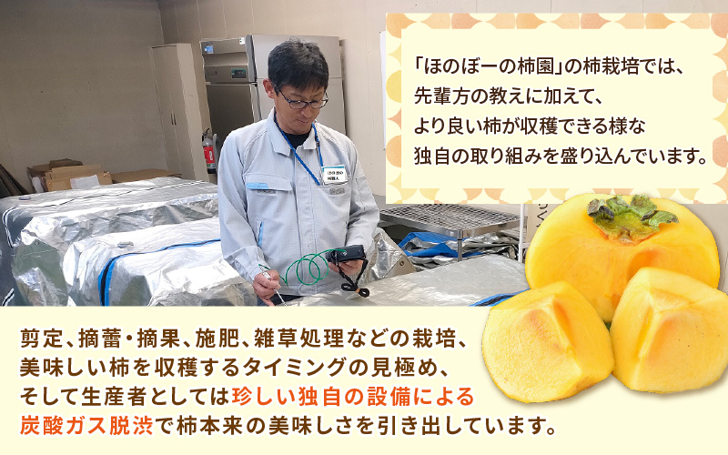 【先行予約】【2026年10月下旬～11月中旬に発送】秋の味覚を贈り物に！厳選「越前柿」大玉 9個（ご贈答用） ／ 果物 フルーツ かき 種なし  産地直送 期間限定  ※2026年10月下旬～11月中旬に発送 [aw031-a005_10]