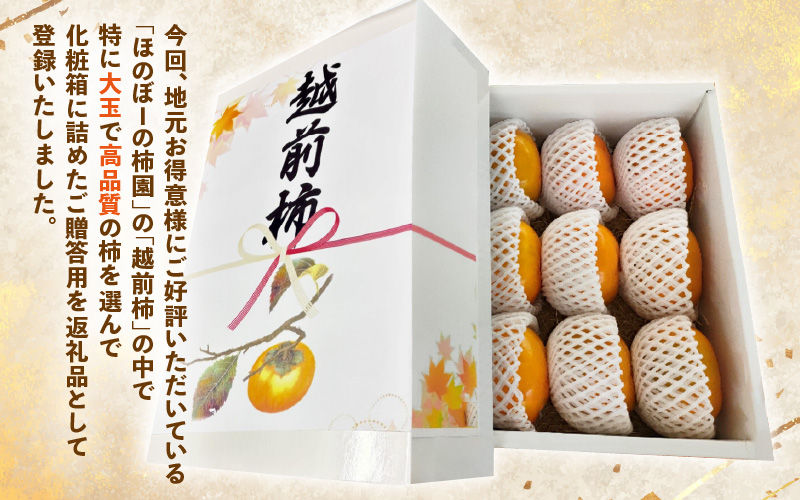 【先行予約】【2026年10月下旬～11月中旬に発送】秋の味覚を贈り物に！厳選「越前柿」大玉 9個（ご贈答用） ／ 果物 フルーツ かき 種なし  産地直送 期間限定  ※2026年10月下旬～11月中旬に発送 [aw031-a005_10]