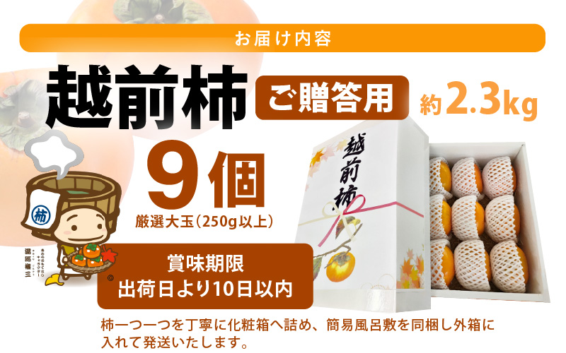 【先行予約】【2026年10月下旬～11月中旬に発送】秋の味覚を贈り物に！厳選「越前柿」大玉 9個（ご贈答用） ／ 果物 フルーツ かき 種なし  産地直送 期間限定  ※2026年10月下旬～11月中旬に発送 [aw031-a005_10]