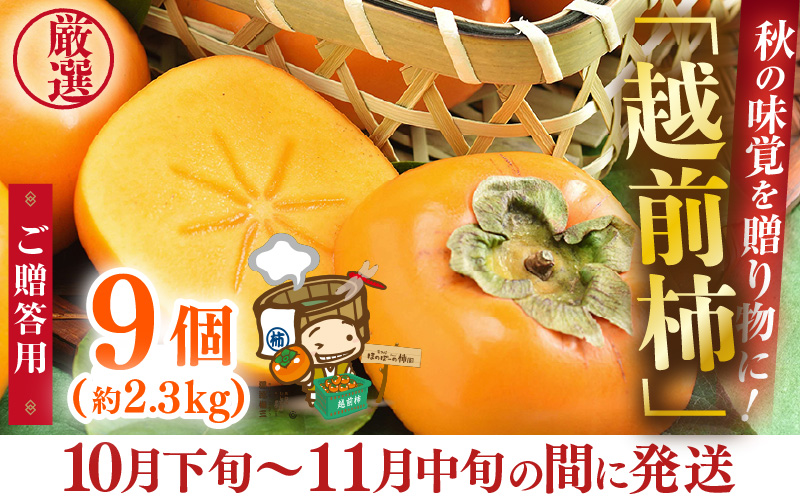 【先行予約】【2026年10月下旬～11月中旬に発送】秋の味覚を贈り物に！厳選「越前柿」大玉 9個（ご贈答用） ／ 果物 フルーツ かき 種なし  産地直送 期間限定  ※2026年10月下旬～11月中旬に発送 [aw031-a005_10]