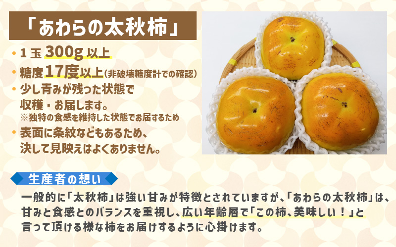 【先行予約】「越前柿」だけじゃないよ！希少なあわらの「太秋柿」6個入（1.8kg以上） ／ 果物 フルーツ かき 産地直送 期間限定 ※2026年10月下旬以降発送予定 [aw131-a001]