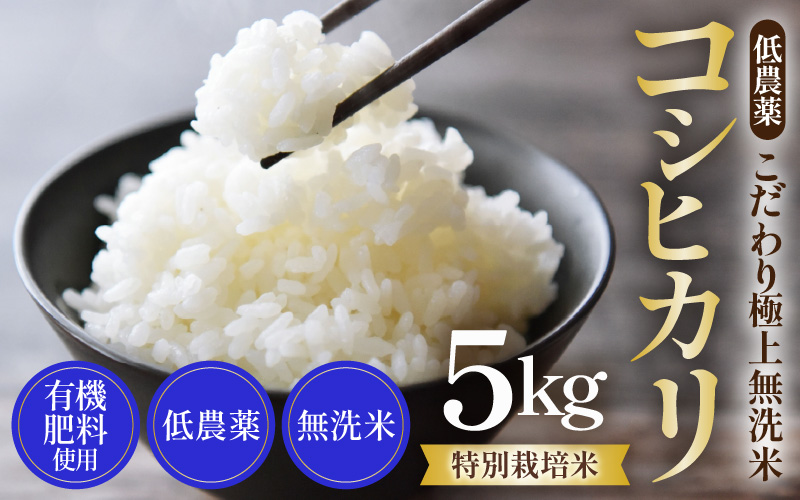 【令和8年産】特別栽培米 コシヒカリ 5kg 無洗米 低農薬 《食味値85点以上！こだわり無洗米》 / 福井県 あわら 北陸 米 お米 人気 高品質 鮮度抜群 新米 [aw032-a020]