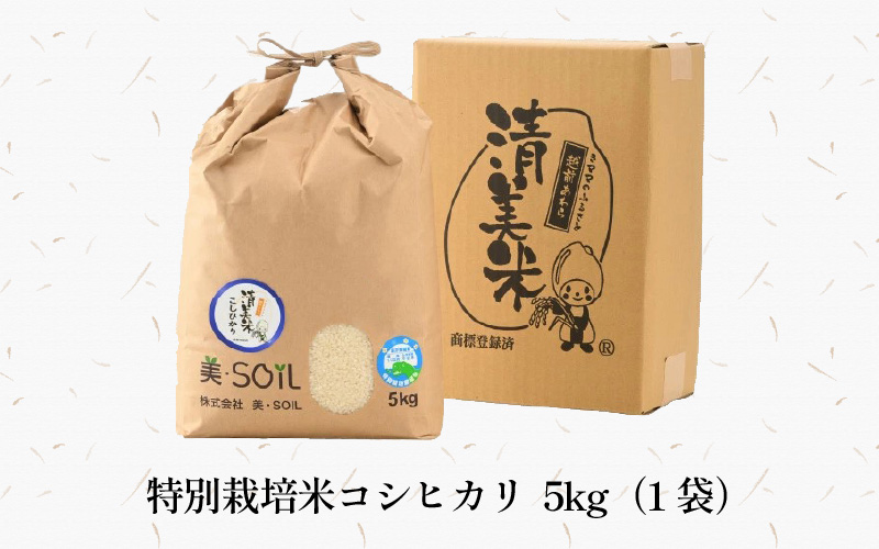 【先行予約】【令和8年産 新米】特別栽培米 コシヒカリ 5kg 精米 低農薬 《食味値85点以上！こだわり精米》 / 福井県 あわら 北陸 米 お米 人気 高品質 鮮度抜群 新米 ※2026年9月上旬より順次発送 [aw032-a015]